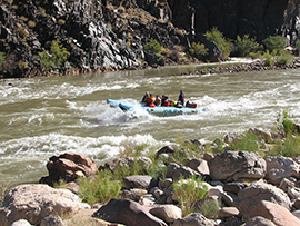 River rafting på Colorado River