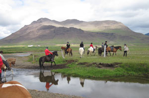 En ridetur i den Islandske natur